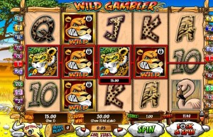 wild gambler playtech slot